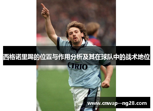 西格诺里踢的位置与作用分析及其在球队中的战术地位 西格诺里踢的位置与作用分析及其在球队中的战术地位
