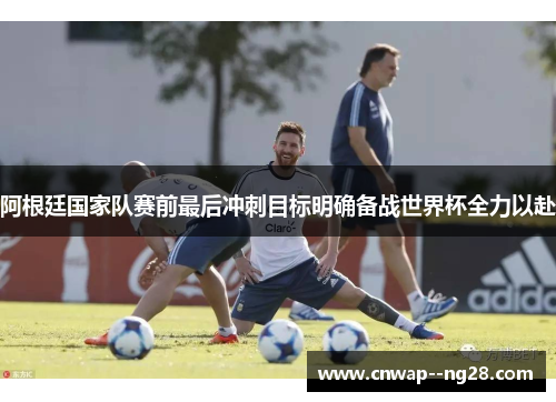 阿根廷国家队赛前最后冲刺目标明确备战世界杯全力以赴 阿根廷国家队赛前最后冲刺目标明确备战世界杯全力以赴