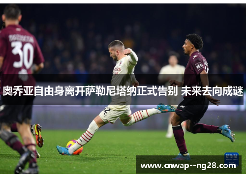 奥乔亚自由身离开萨勒尼塔纳正式告别 未来去向成谜 奥乔亚自由身离开萨勒尼塔纳正式告别 未来去向成谜